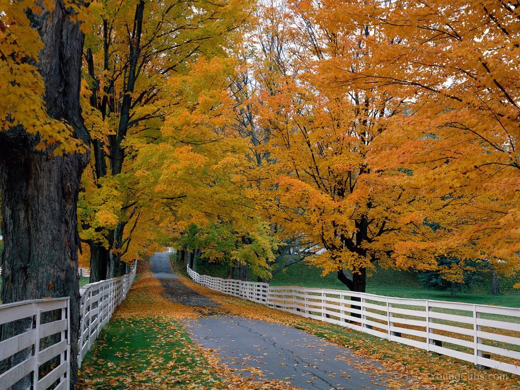 Scenic Backroad, New Hampshire